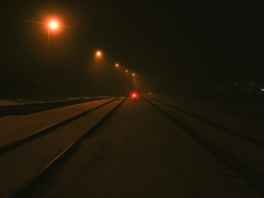 Photograph by Elena Kravchenko