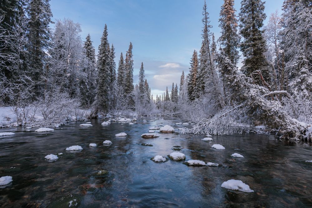 Photograph by Мария Казакова