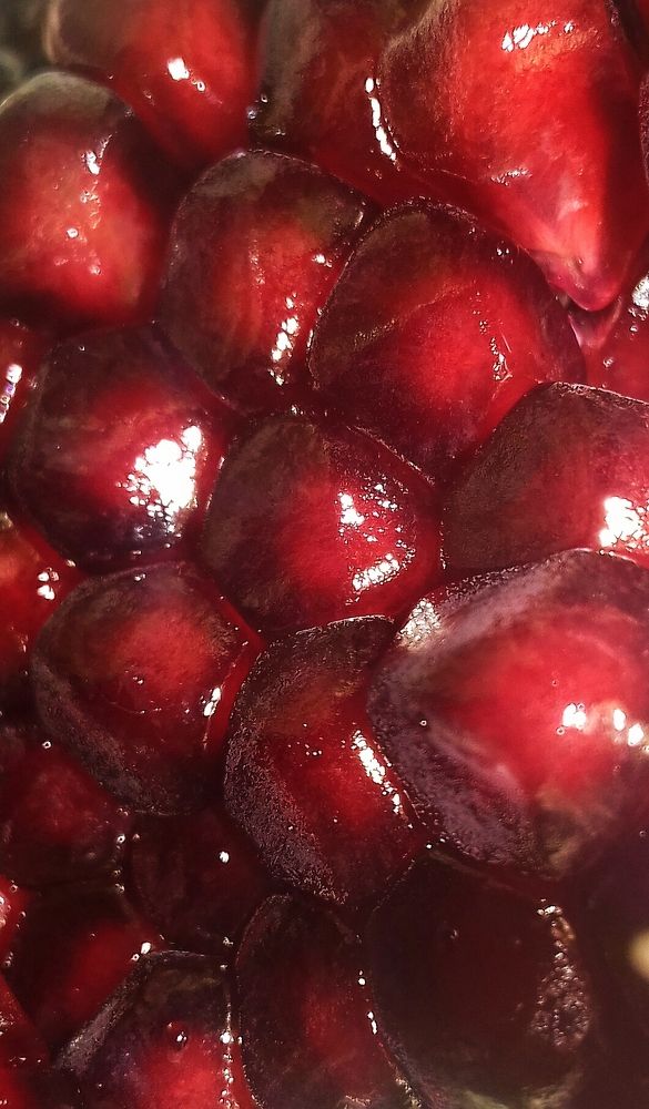 Photograph by Daria Kirina