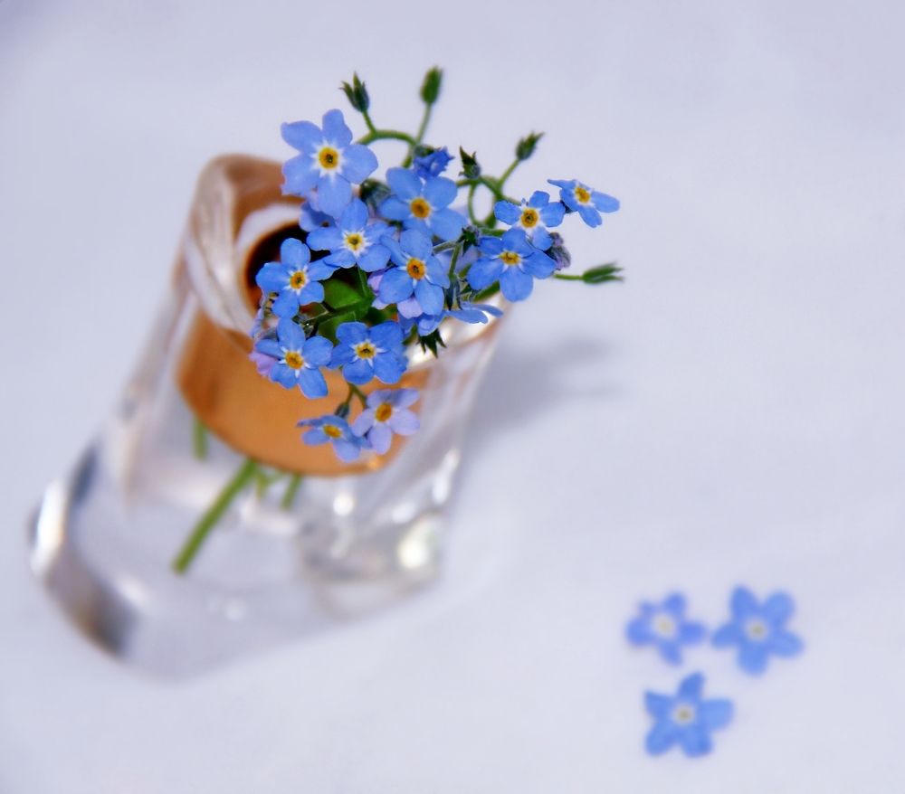 Нежнее-нежного...