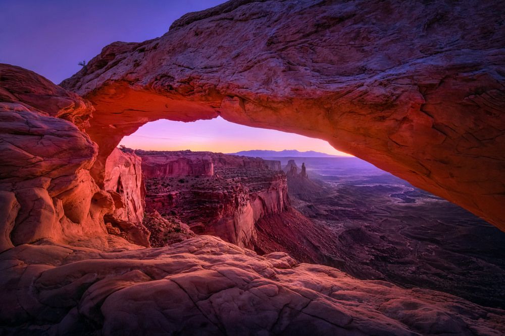 Photograph by Елена Ермолина