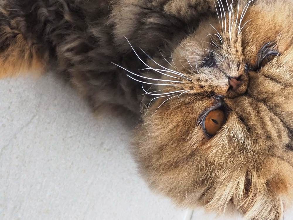 Photograph by Liliana Ospina staaden