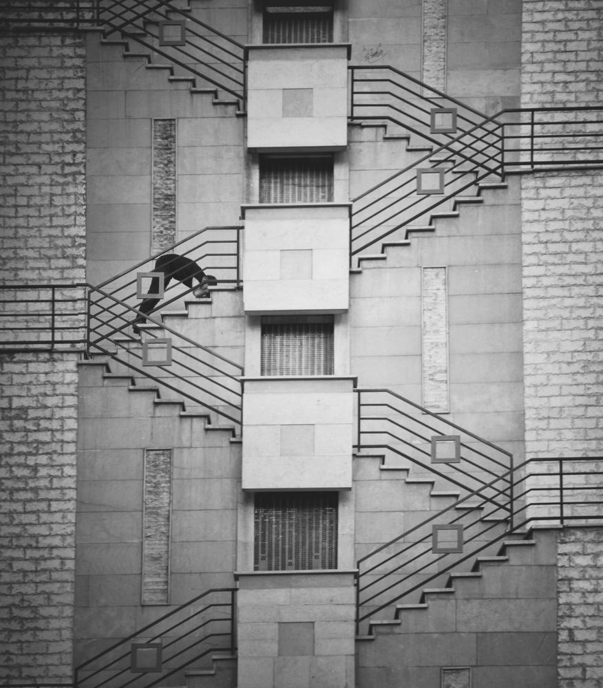 Фотография автора Alireza Bagheri sani