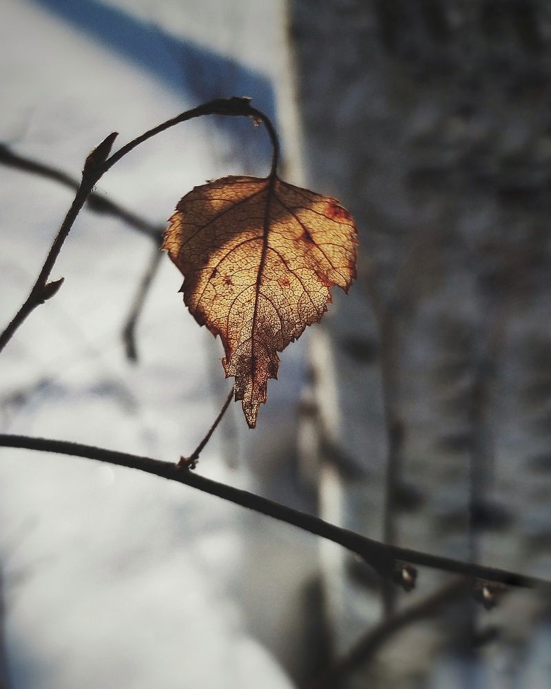 Photograph by Буланцев Ольга Борисовна