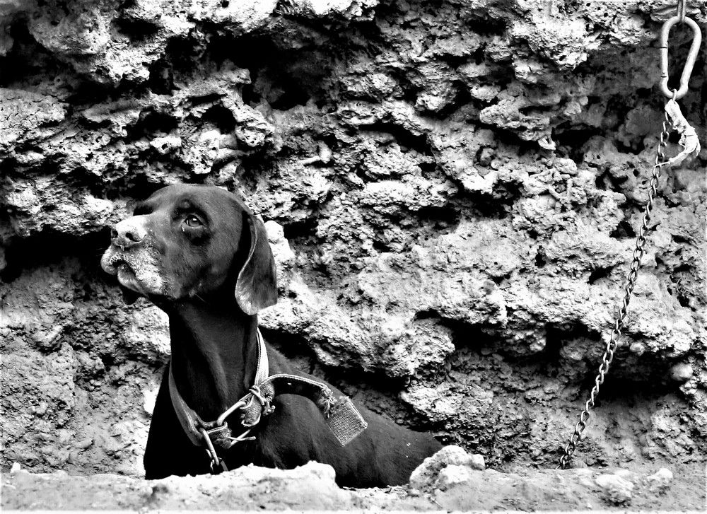 Photograph by Ramzi Nari