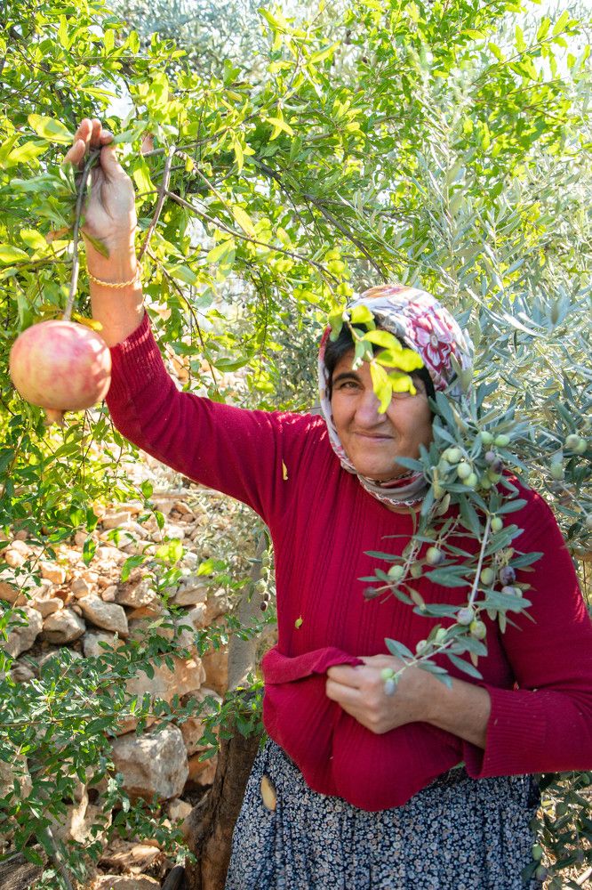 Photograph by Алина Хусаинова