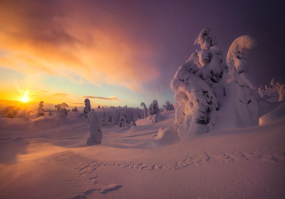 Photograph by Елена Ермолина