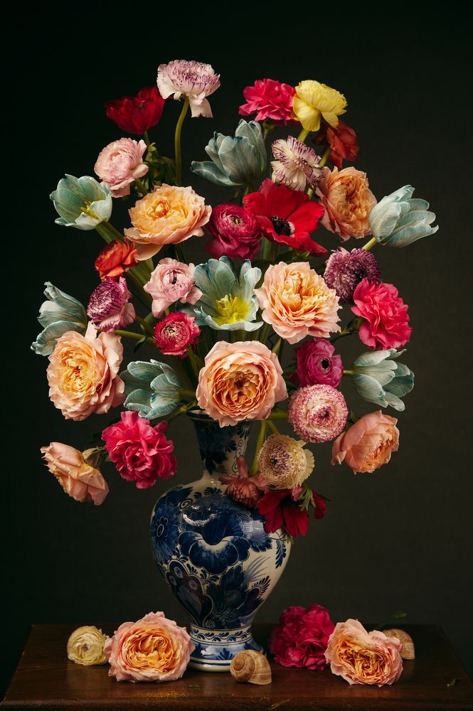 Фотография автора Marina Krasovska