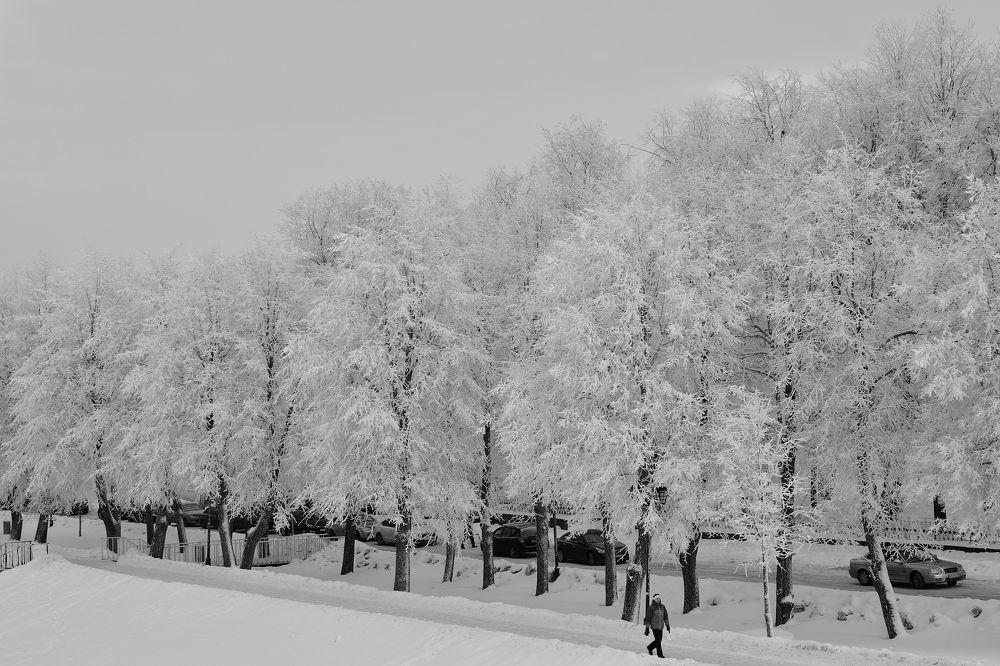 Photograph by Александр Калегин