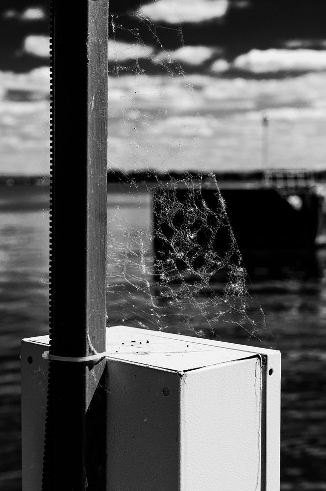 Photograph by Ольга Решетникова