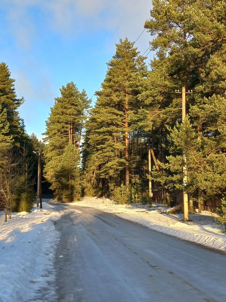 Photograph by Зоя Кулько