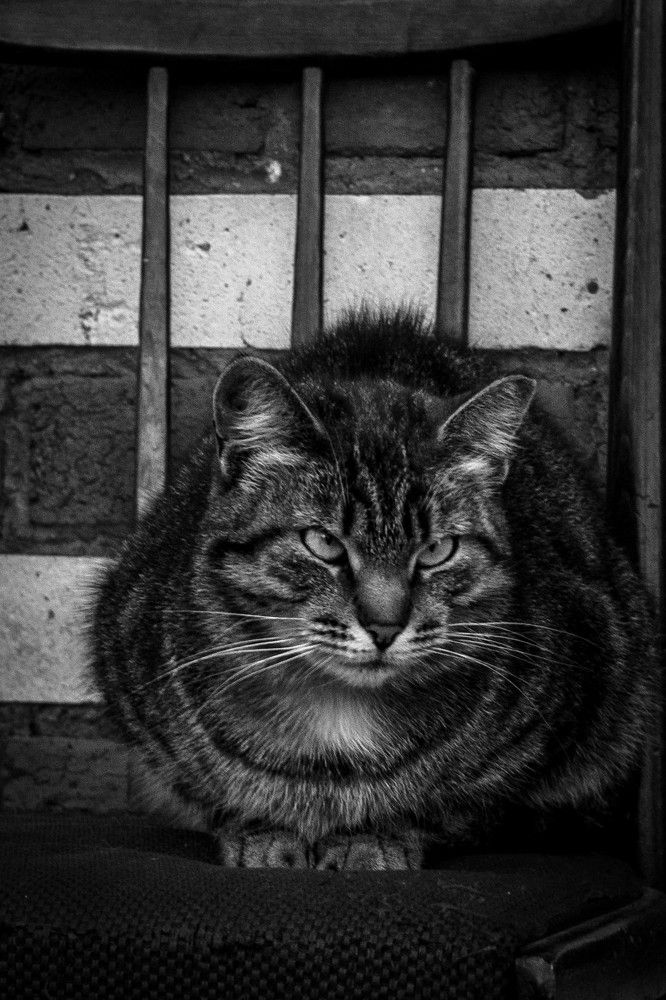 Фотография автора Варвара Власова