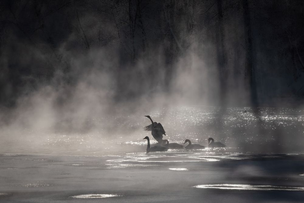 Морозное утро