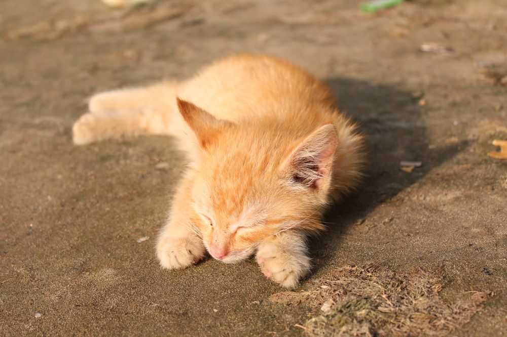 Photograph by Иван