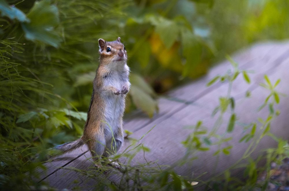 Photograph by Павел Петухов