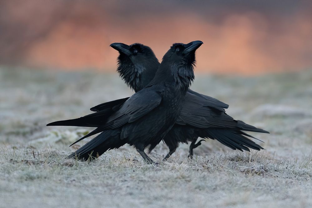 Photograph by Мартин Попов