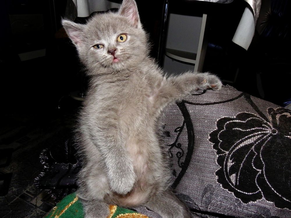 Photograph by Олеся