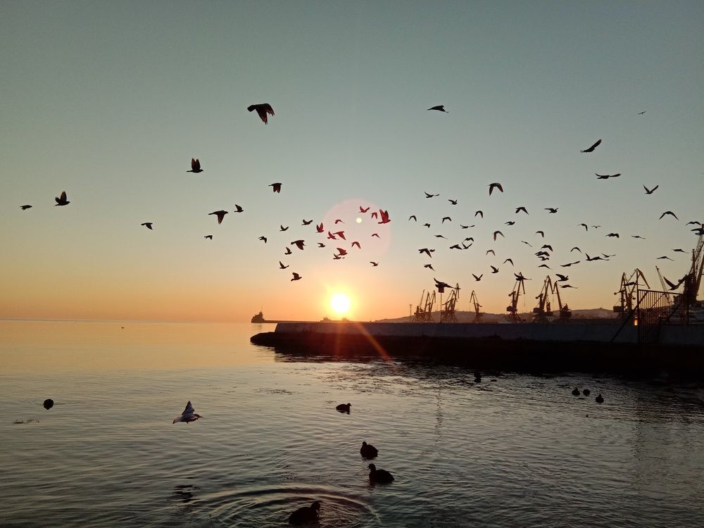 Photograph by Татьяна Стаскевич