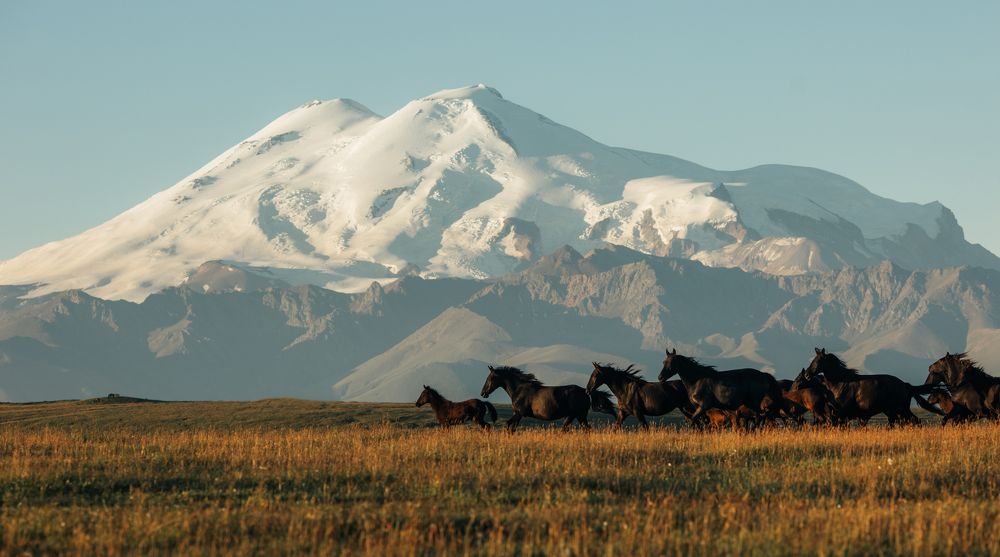 Photograph by Альбина Сагитова