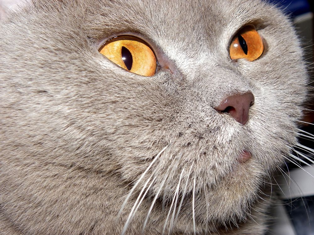 Photograph by Олеся