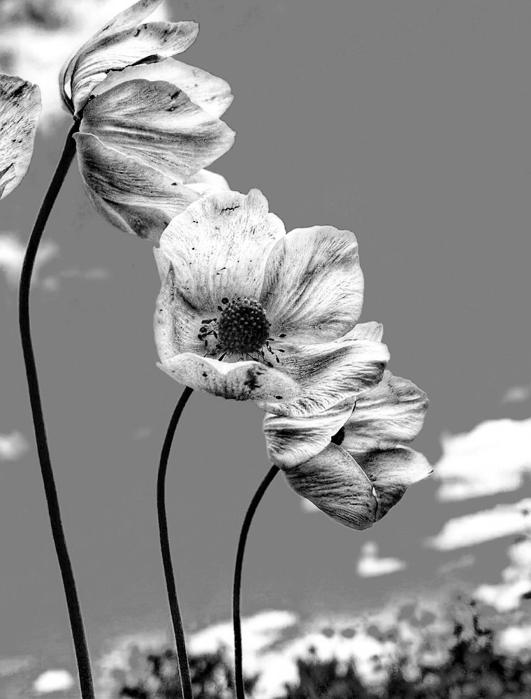 Photograph by Evgenia Privalova