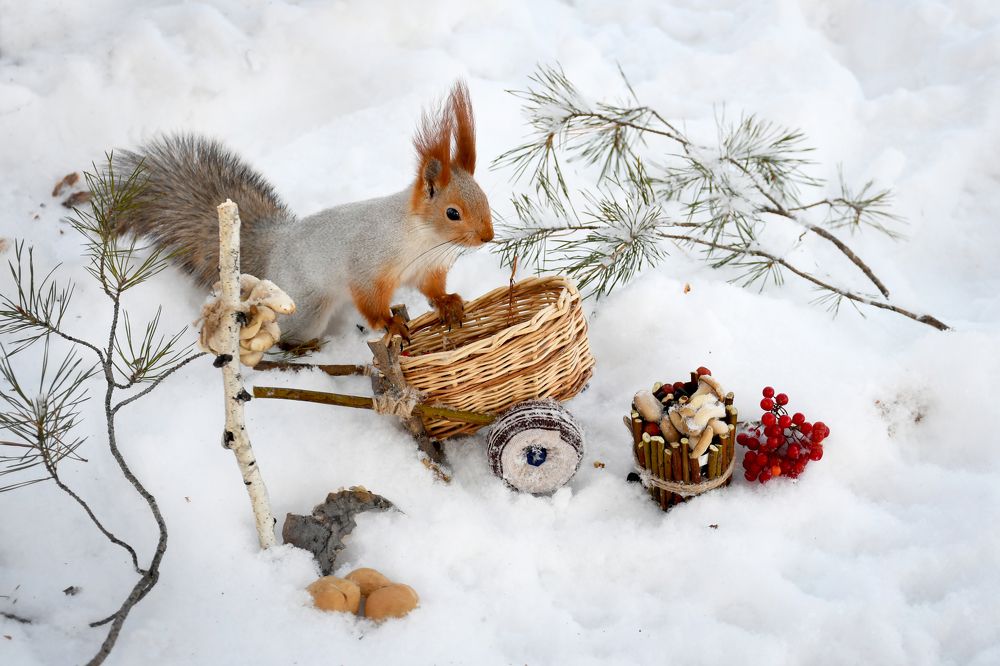 Замечательная находка
