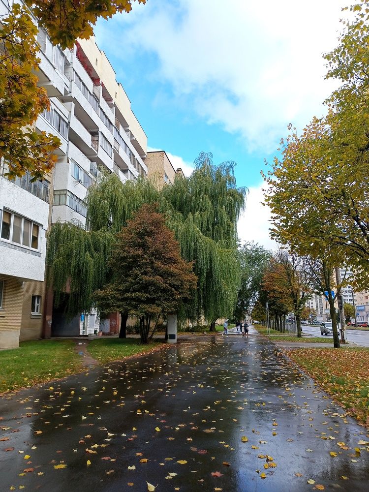Осенний день