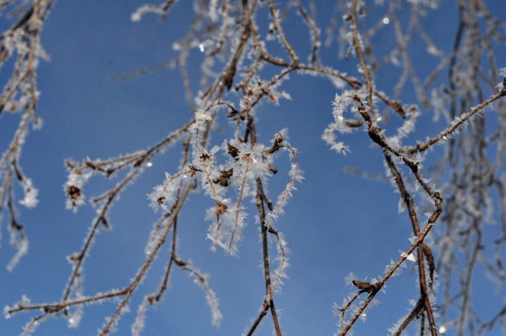 Photograph by Илья