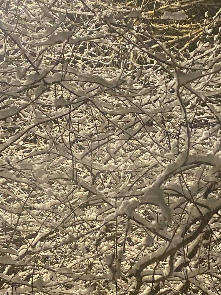 Photograph by Елена Осипова