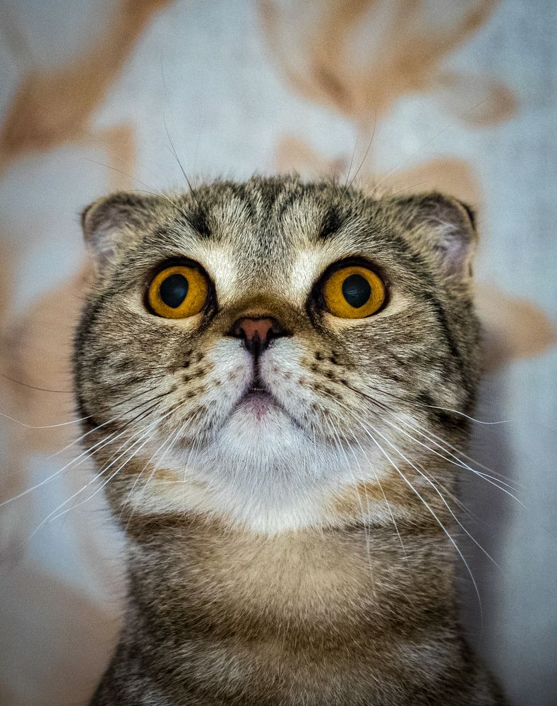 Photograph by Андрей Стрельников