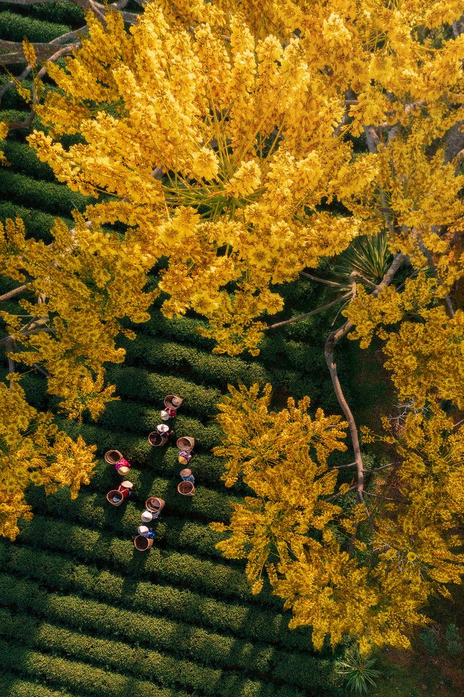 Photograph by Cao Ky Nhan