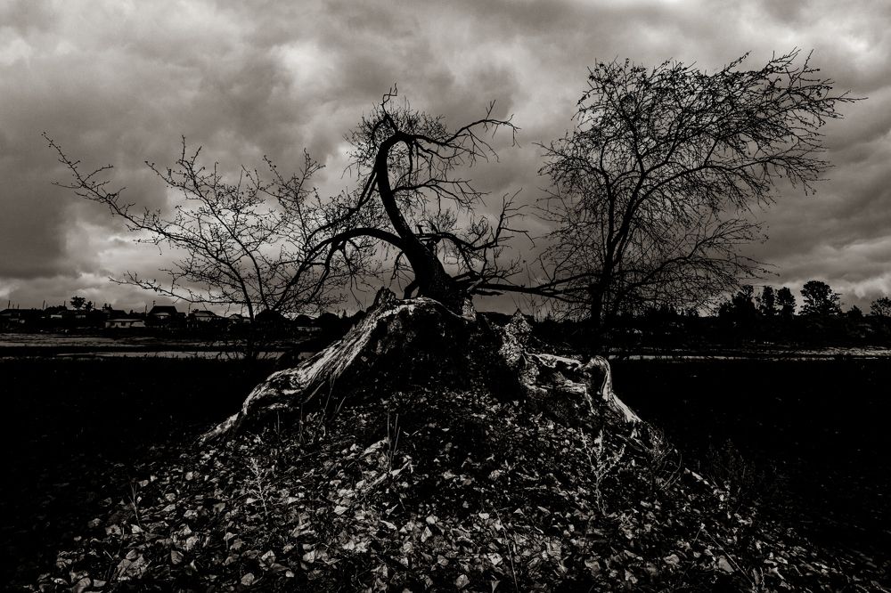 Photograph by Игорь Кутний