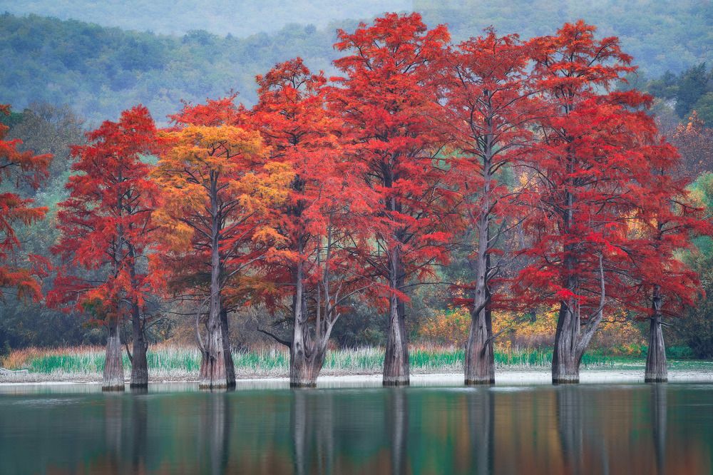 Photograph by Костенко Александр