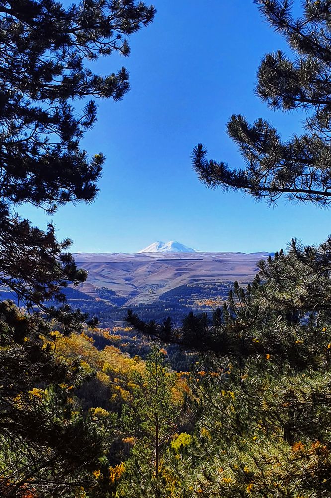 Фотография автора Наталья Смекалина