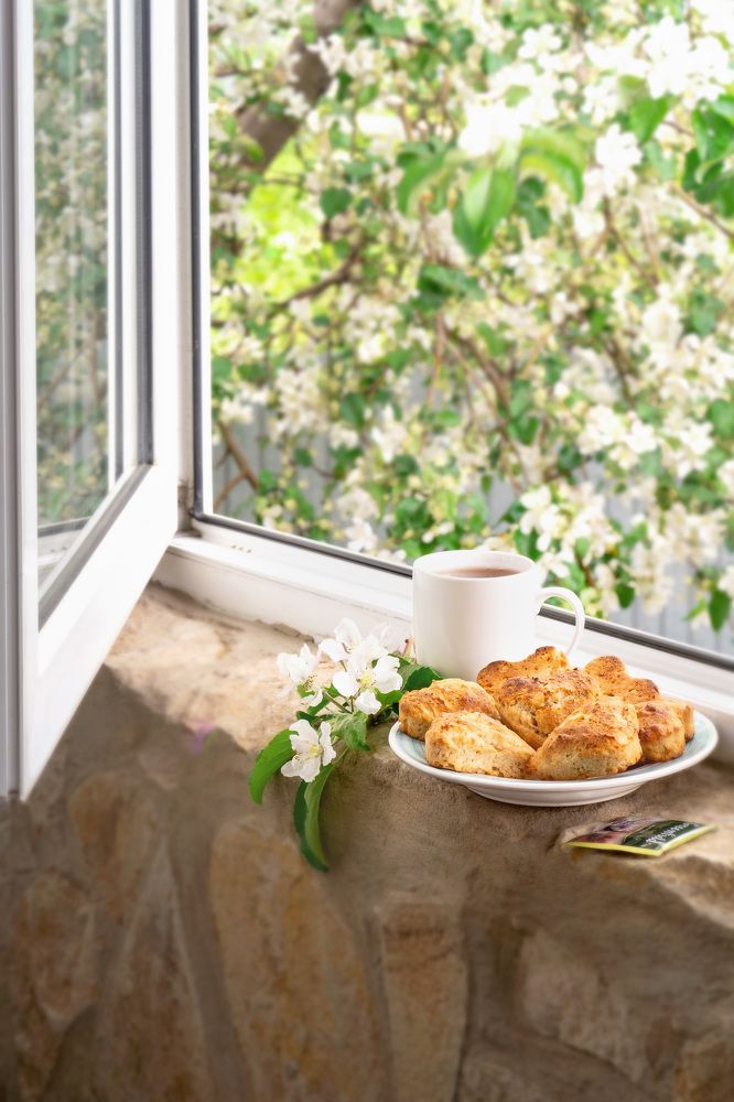 Photograph by Нелли