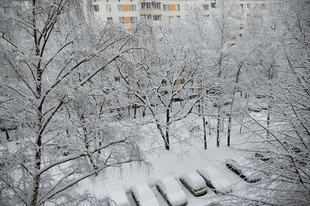 Времена года