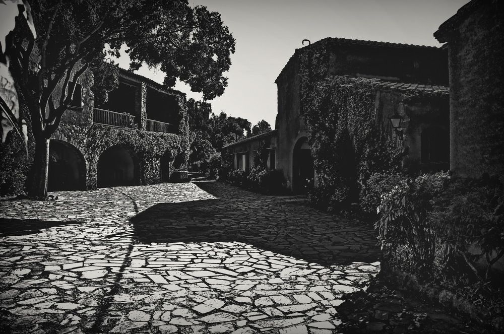 Photograph by Aleksandr Larionov