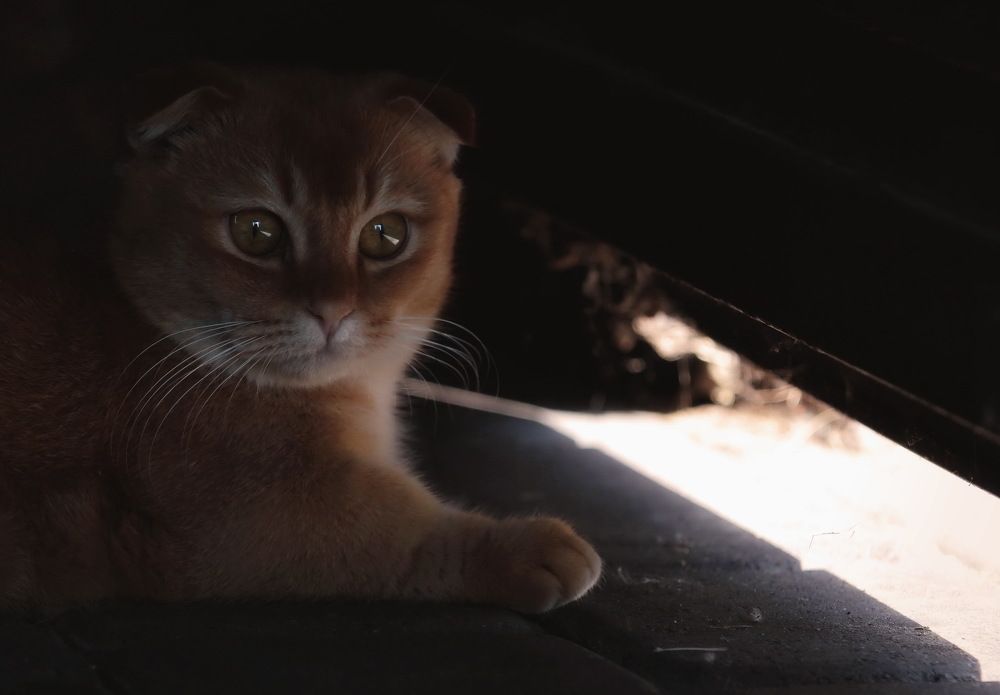 Photograph by Aleksandr Larionov