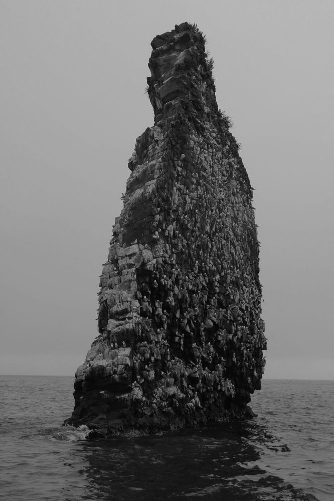 Photograph by Рондак Ульяна