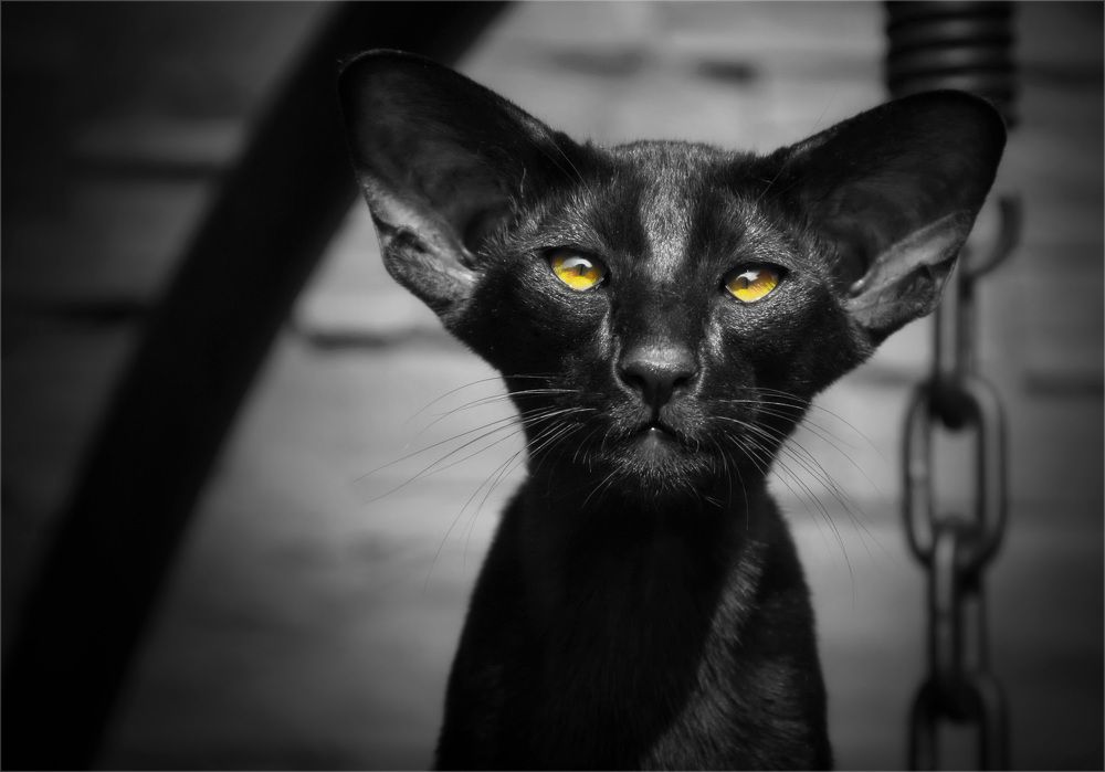 Photograph by Aleksandr Larionov