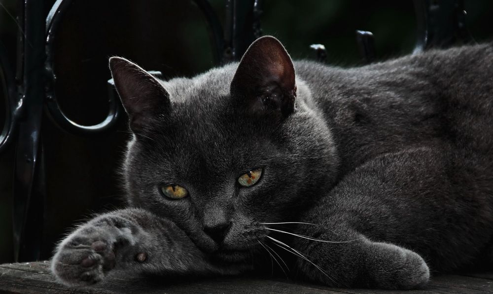 Photograph by Aleksandr Larionov