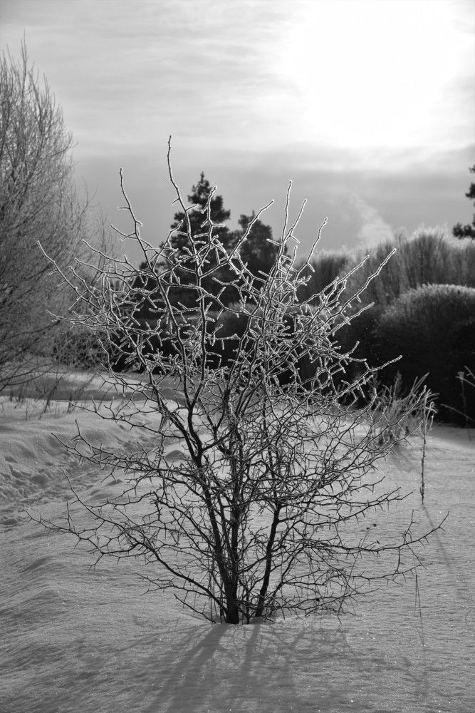 Photograph by Ольга Струкалина