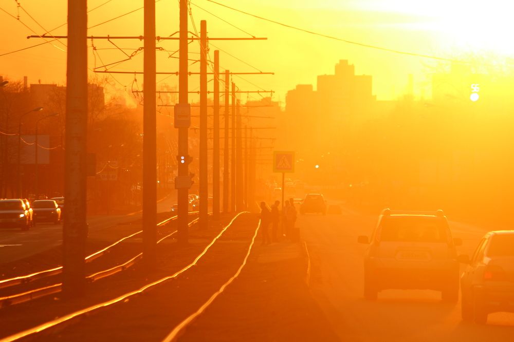 Золотой город