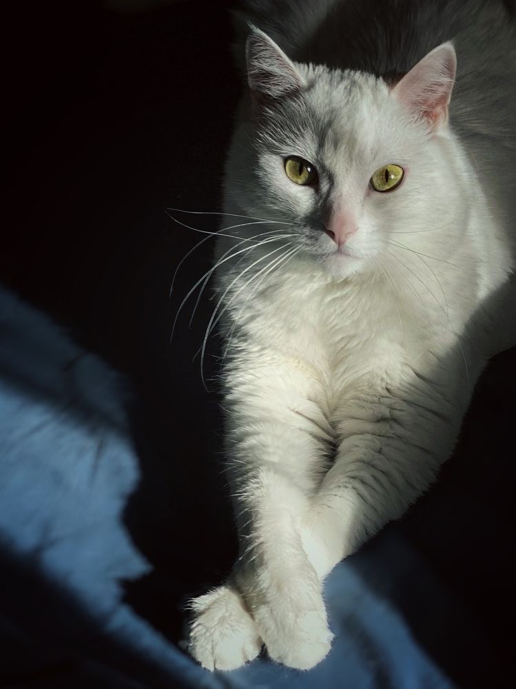 Фотография автора 