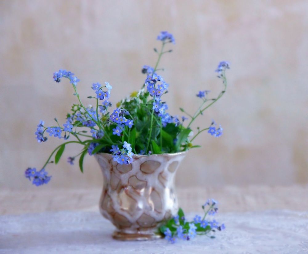 Букетик незабудок.