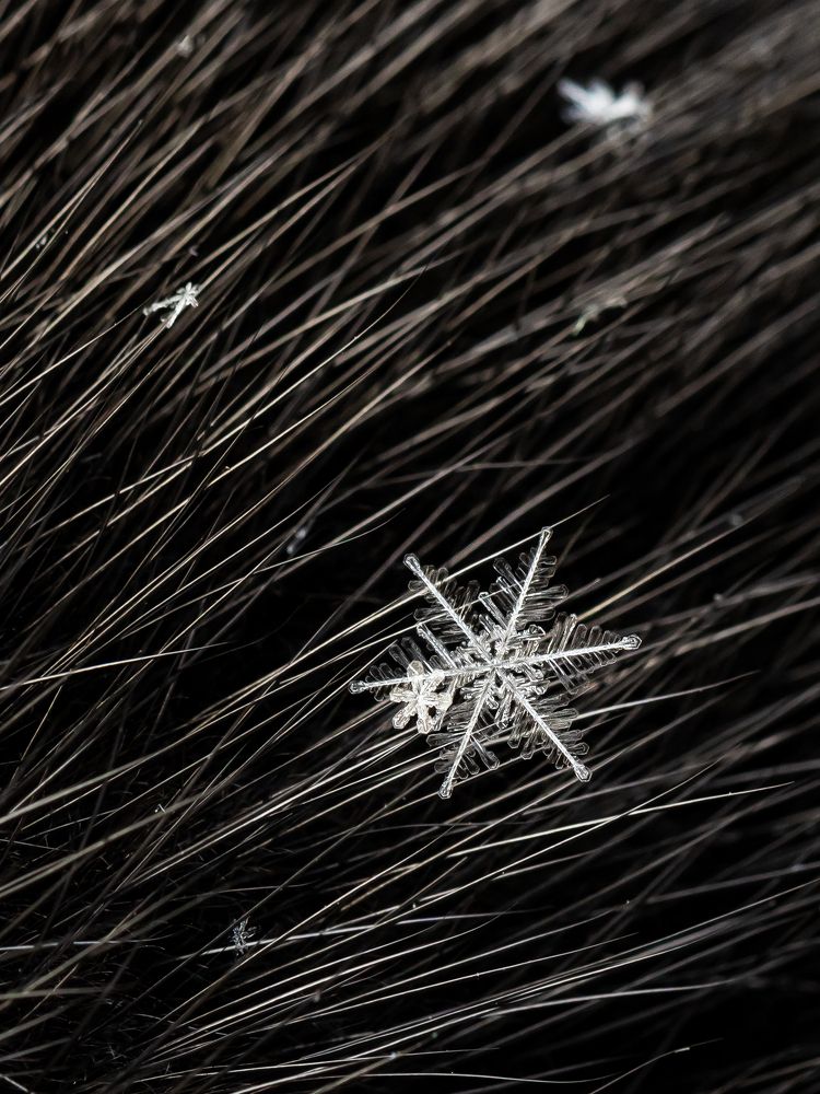 Photograph by Марина Новожилова