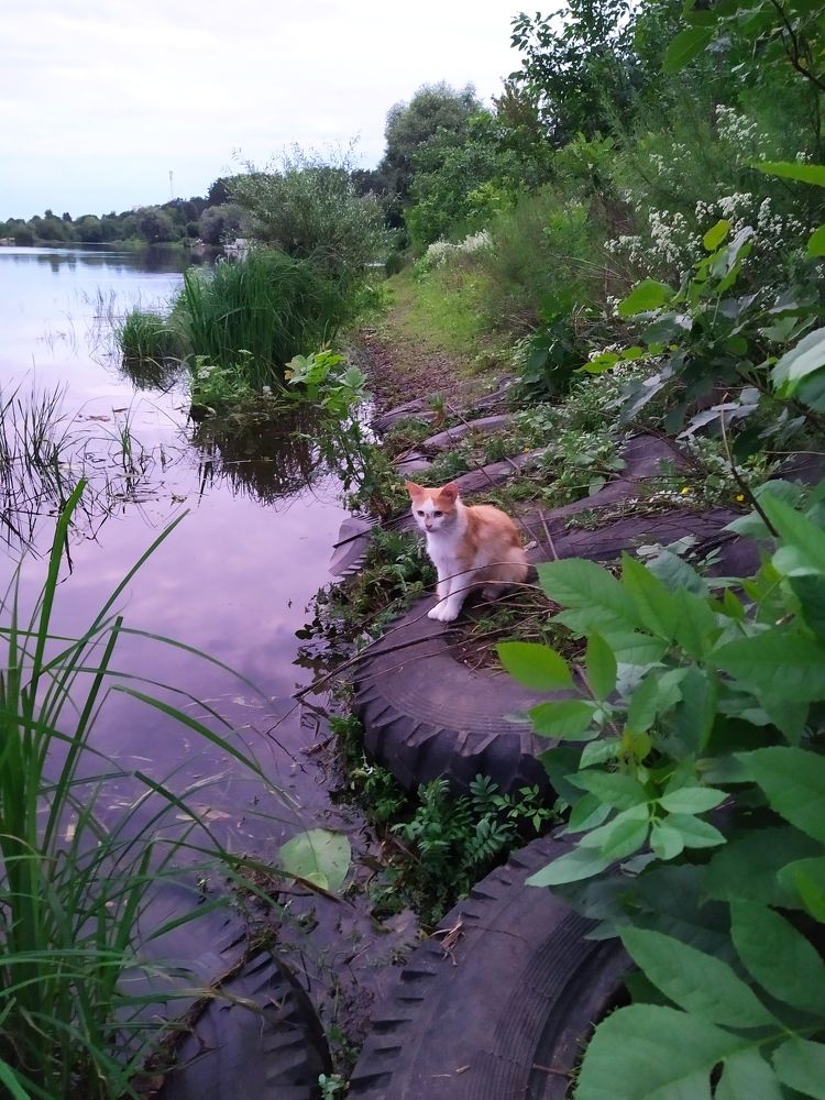 Photograph by Александр