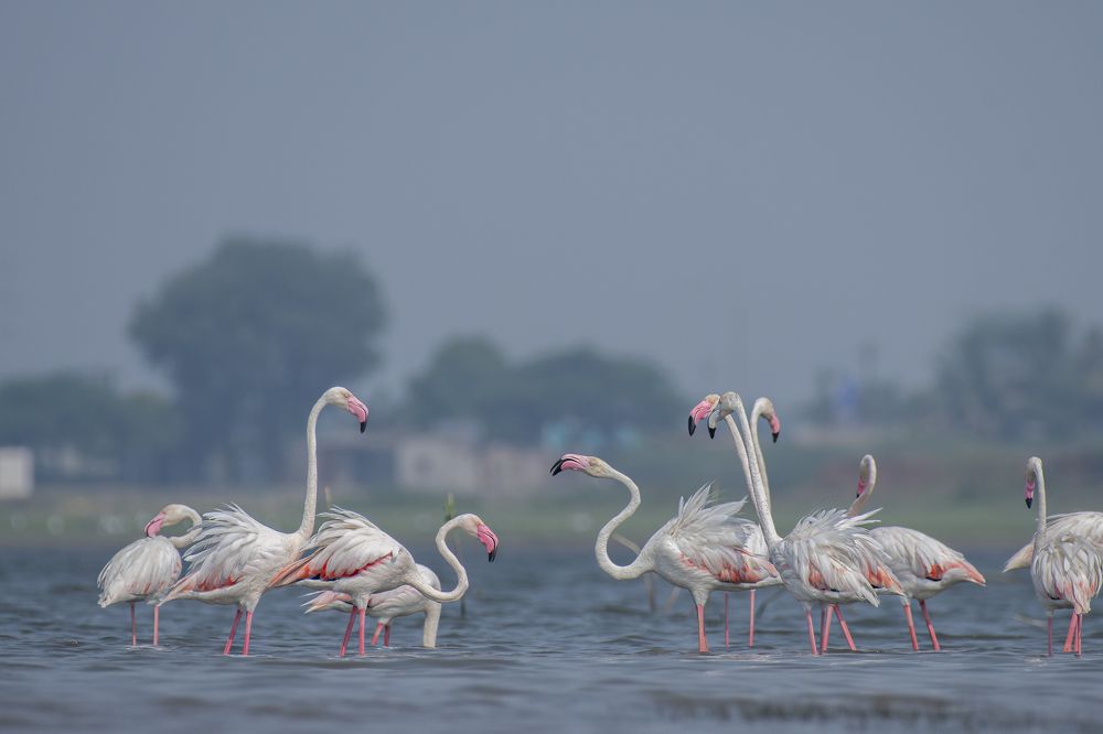 Photograph by Suman Paul