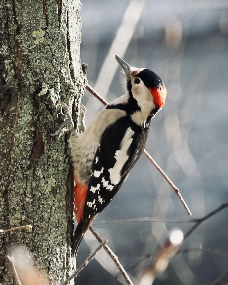 Photograph by Александр Затямин