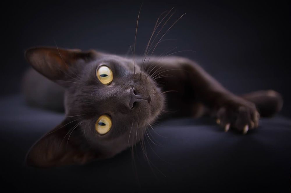 Photograph by GABRIELA MELLO